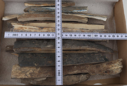 Raw mammoth ivory offcuts