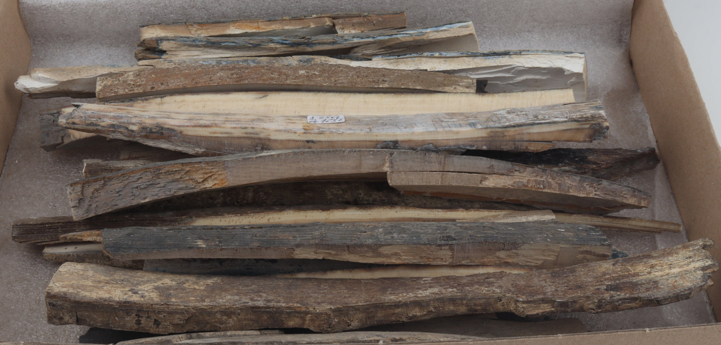 Raw mammoth ivory offcuts
