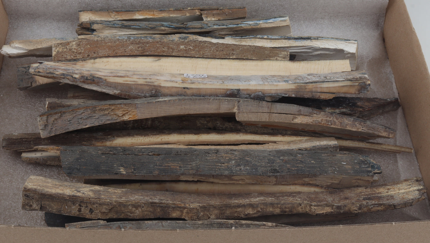 Raw mammoth ivory offcuts