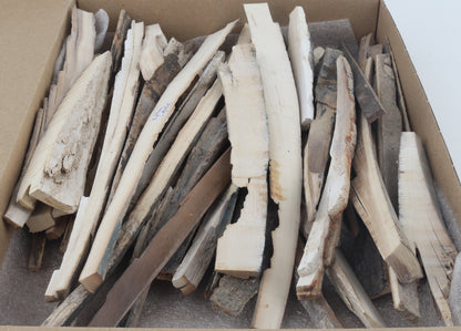 Raw mammoth ivory offcuts