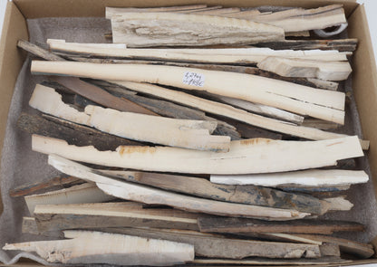 Raw mammoth ivory offcuts