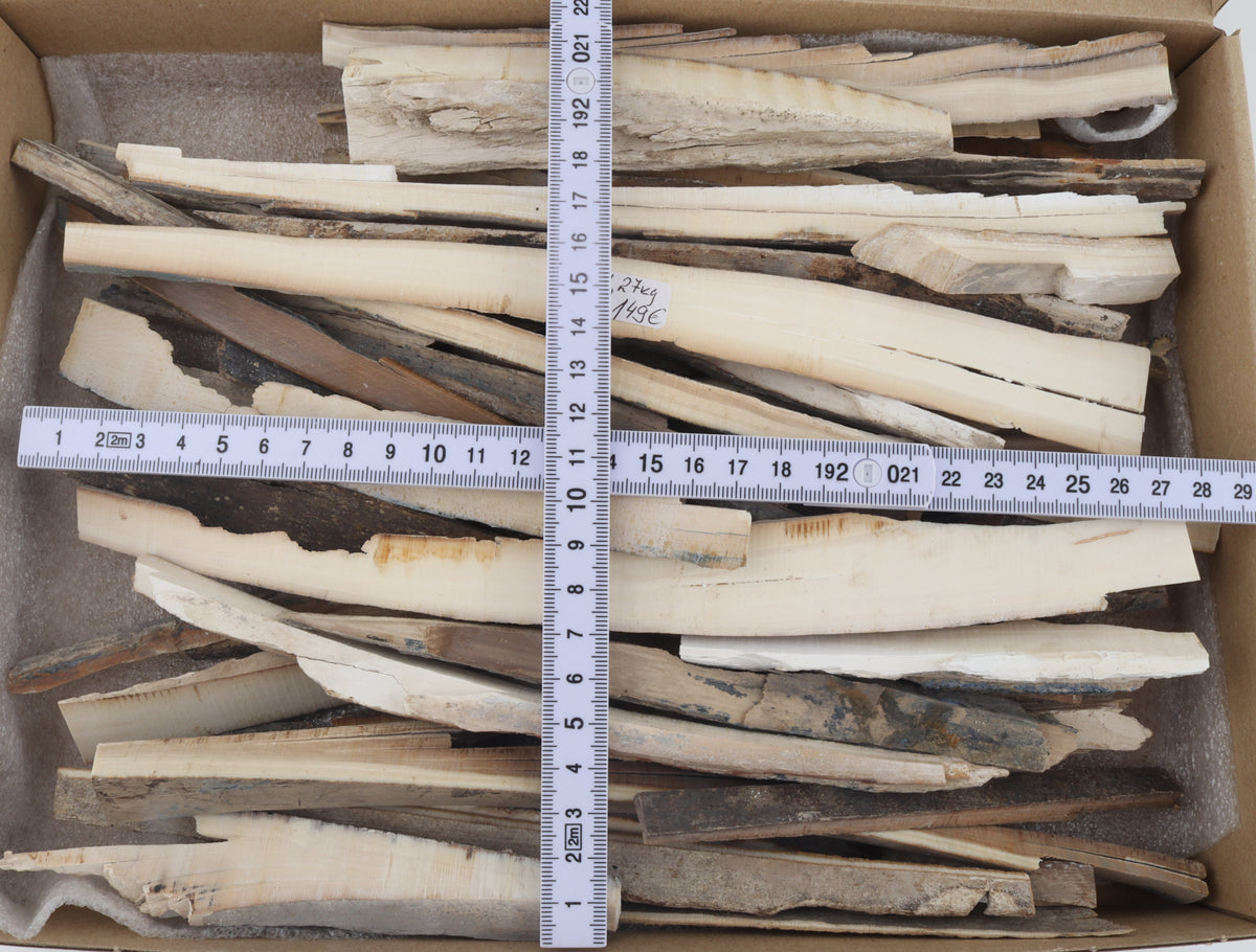 Raw mammoth ivory offcuts