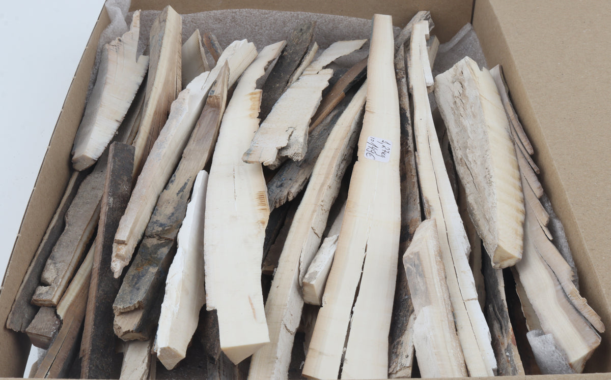 Raw mammoth ivory offcuts