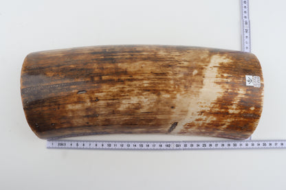Natural woolly mammoth bark