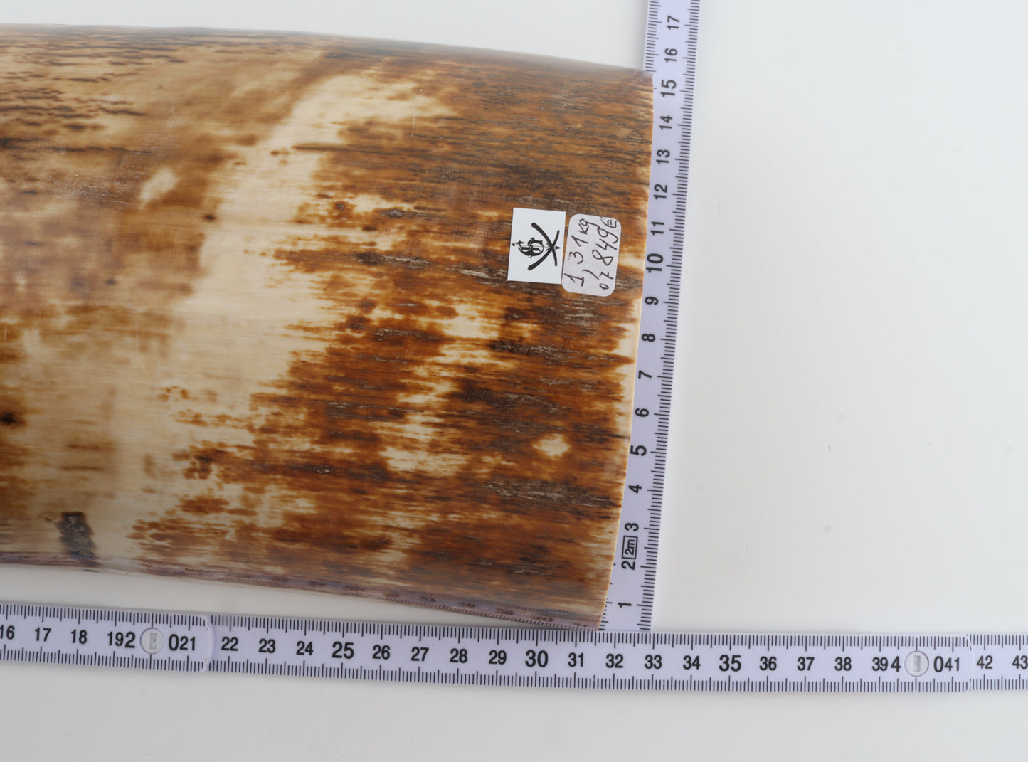 Natural woolly mammoth bark