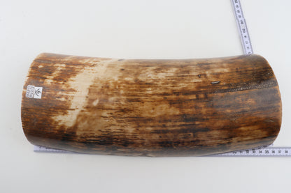 Natural woolly mammoth bark