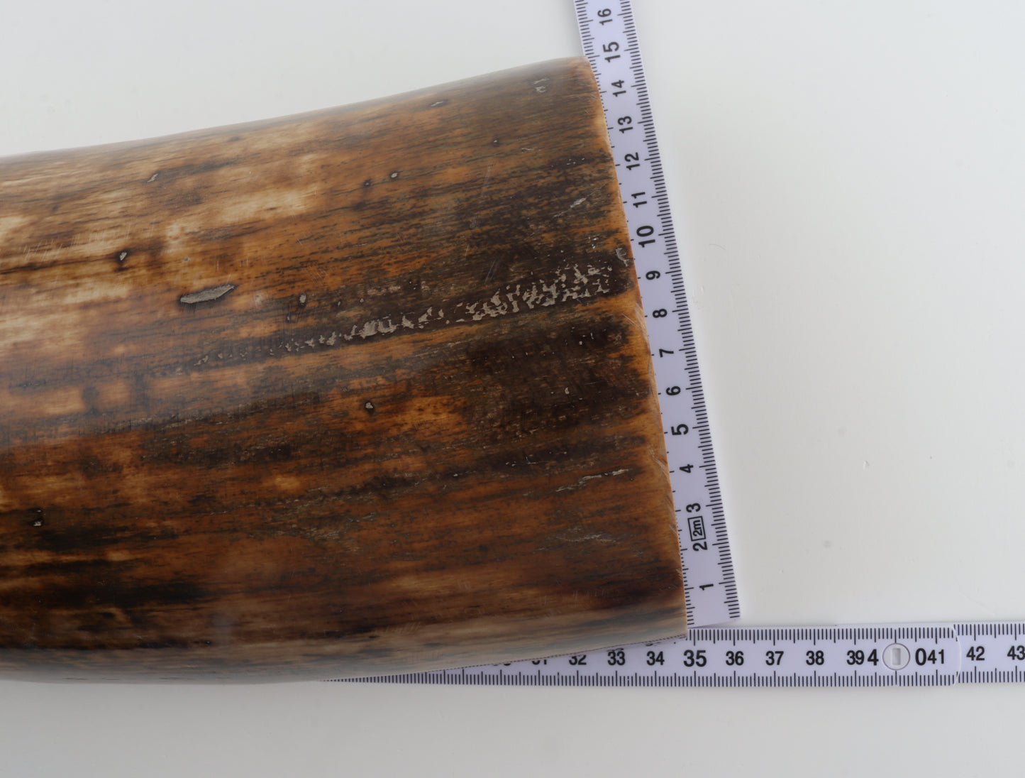 Natural woolly mammoth bark