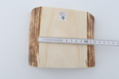 White mammoth ivory segment
