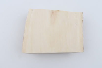 White mammoth ivory segment