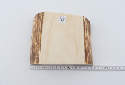 White mammoth ivory segment