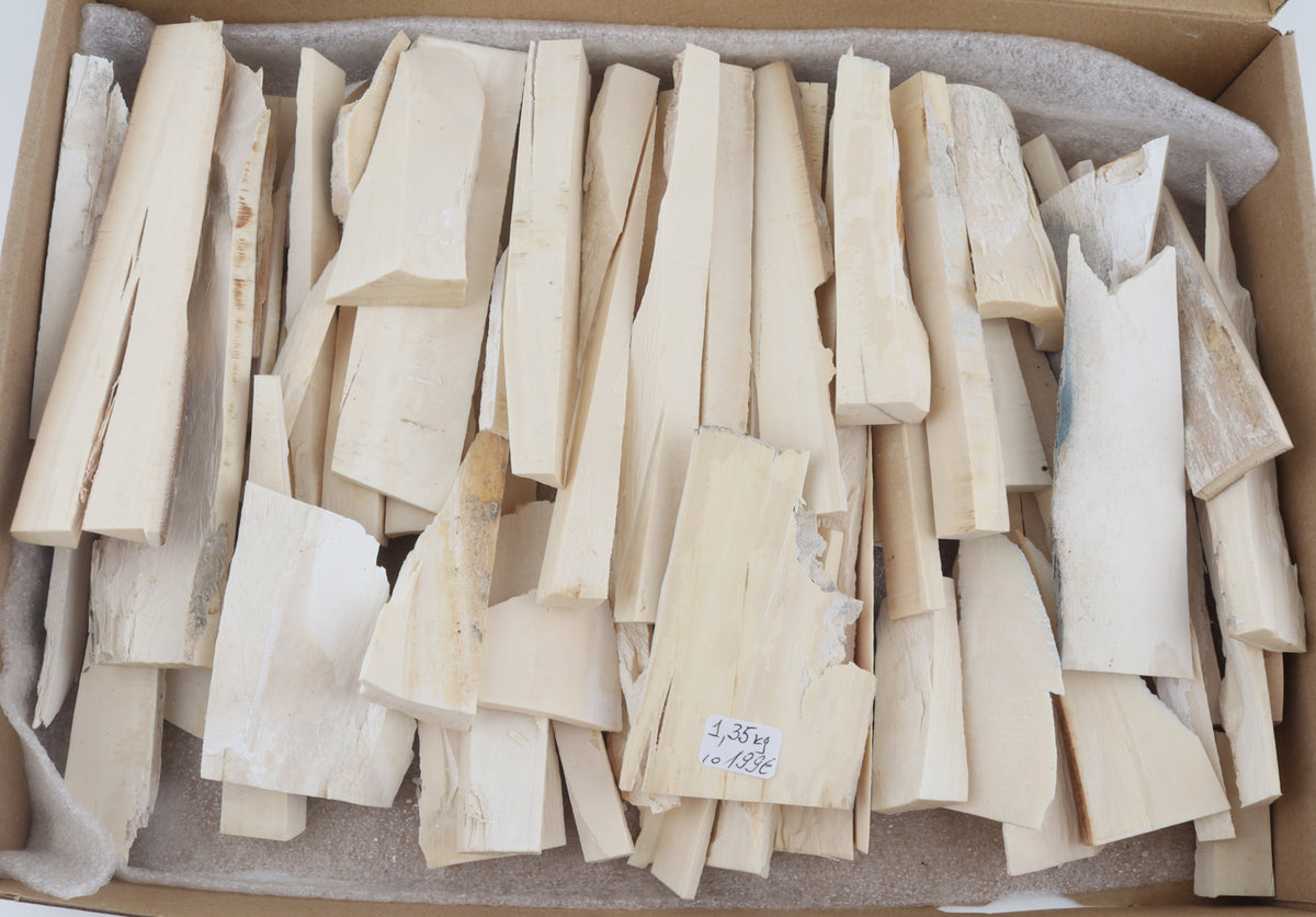 White mammoth ivory pieces