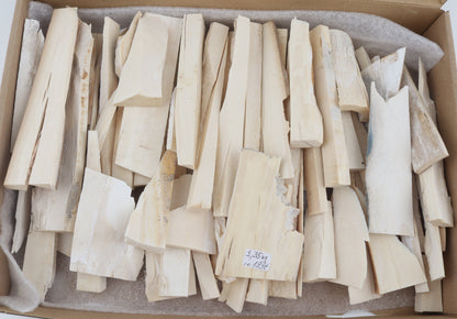 White mammoth ivory pieces