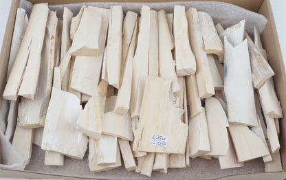 White mammoth ivory pieces