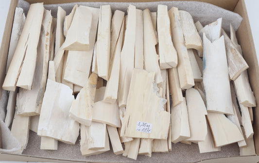 White mammoth ivory pieces