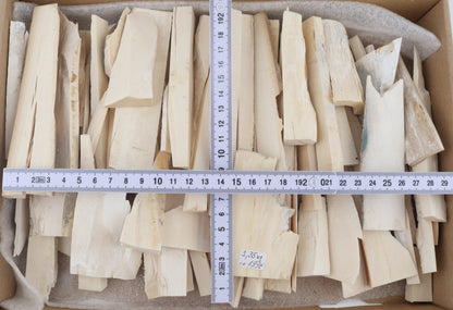 White mammoth ivory pieces