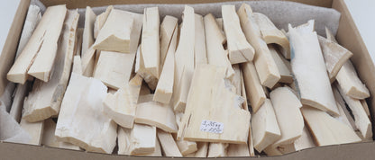 White mammoth ivory pieces