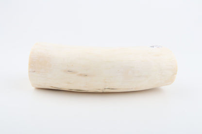 Natural mammoth tusk piece