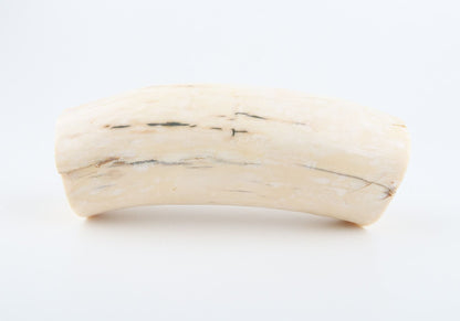 Natural mammoth tusk piece