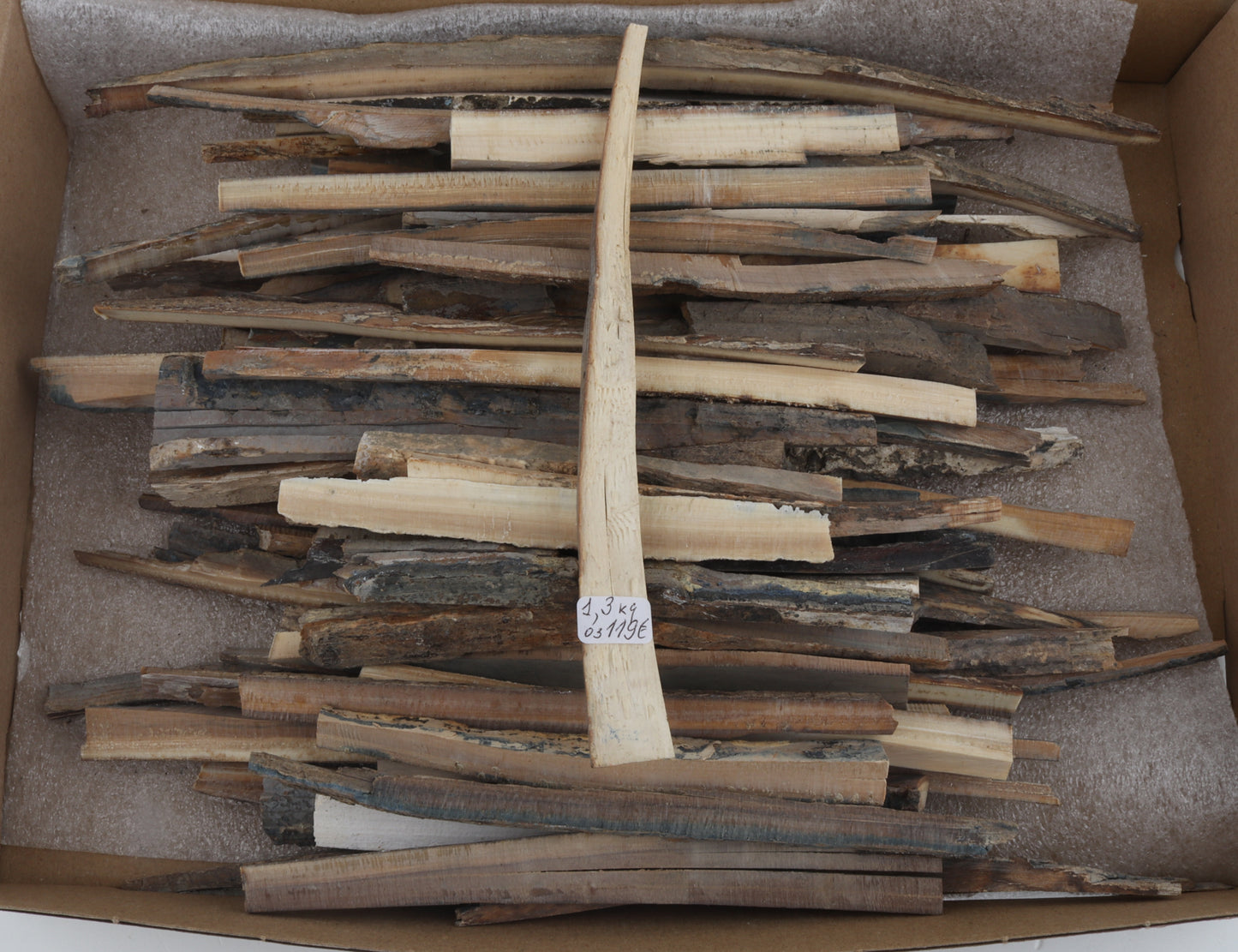 Raw mammoth ivory offcuts