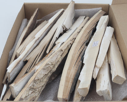 Untreated mammoth ivory pieces