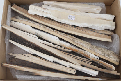 Untreated mammoth ivory pieces