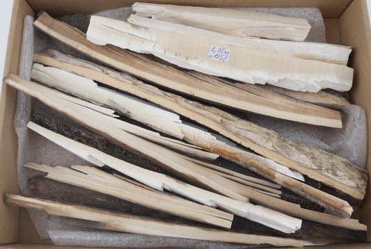 Untreated mammoth ivory pieces