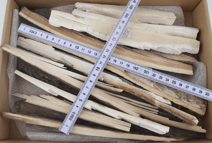 Untreated mammoth ivory pieces