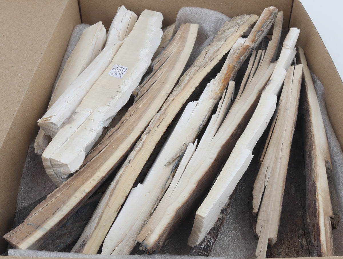 Untreated mammoth ivory pieces