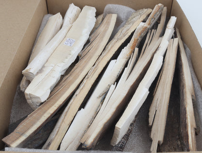 Untreated mammoth ivory pieces