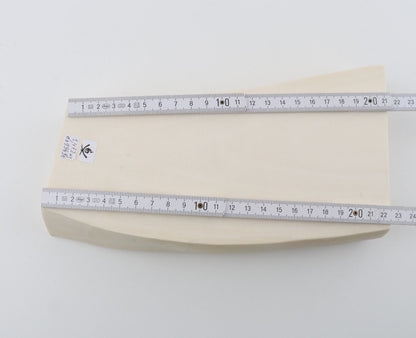 White mammoth ivory segment