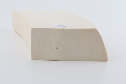 White mammoth ivory segment