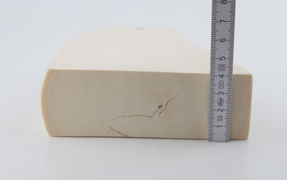 White mammoth ivory segment