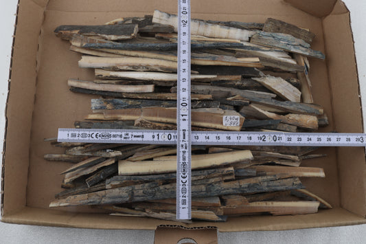 Raw mammoth ivory offcuts