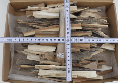 Raw mammoth ivory offcuts