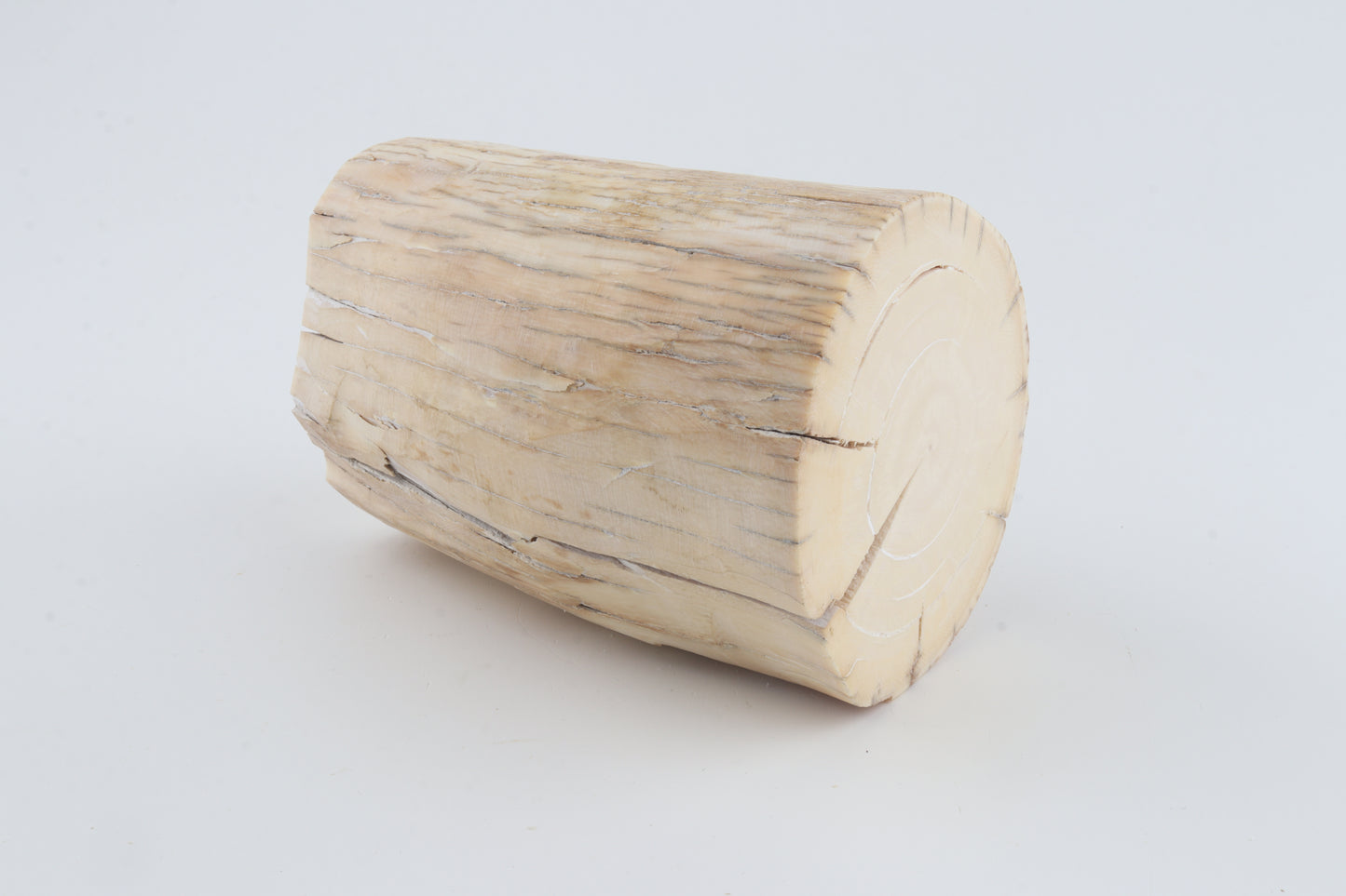 Round mammoth tusk piece