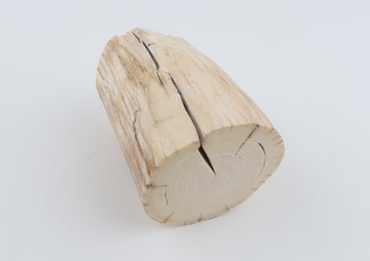 Round mammoth tusk piece