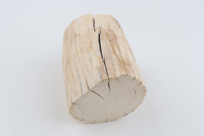 Round mammoth tusk piece