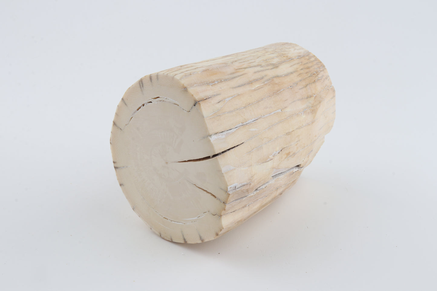 Round mammoth tusk piece