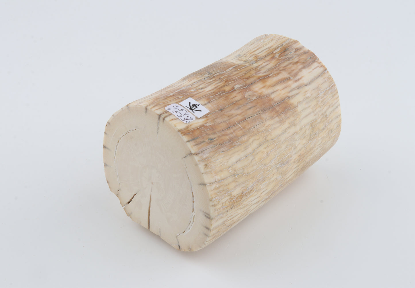 Round mammoth tusk piece