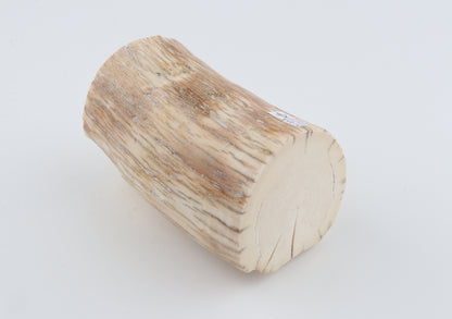 Round mammoth tusk piece