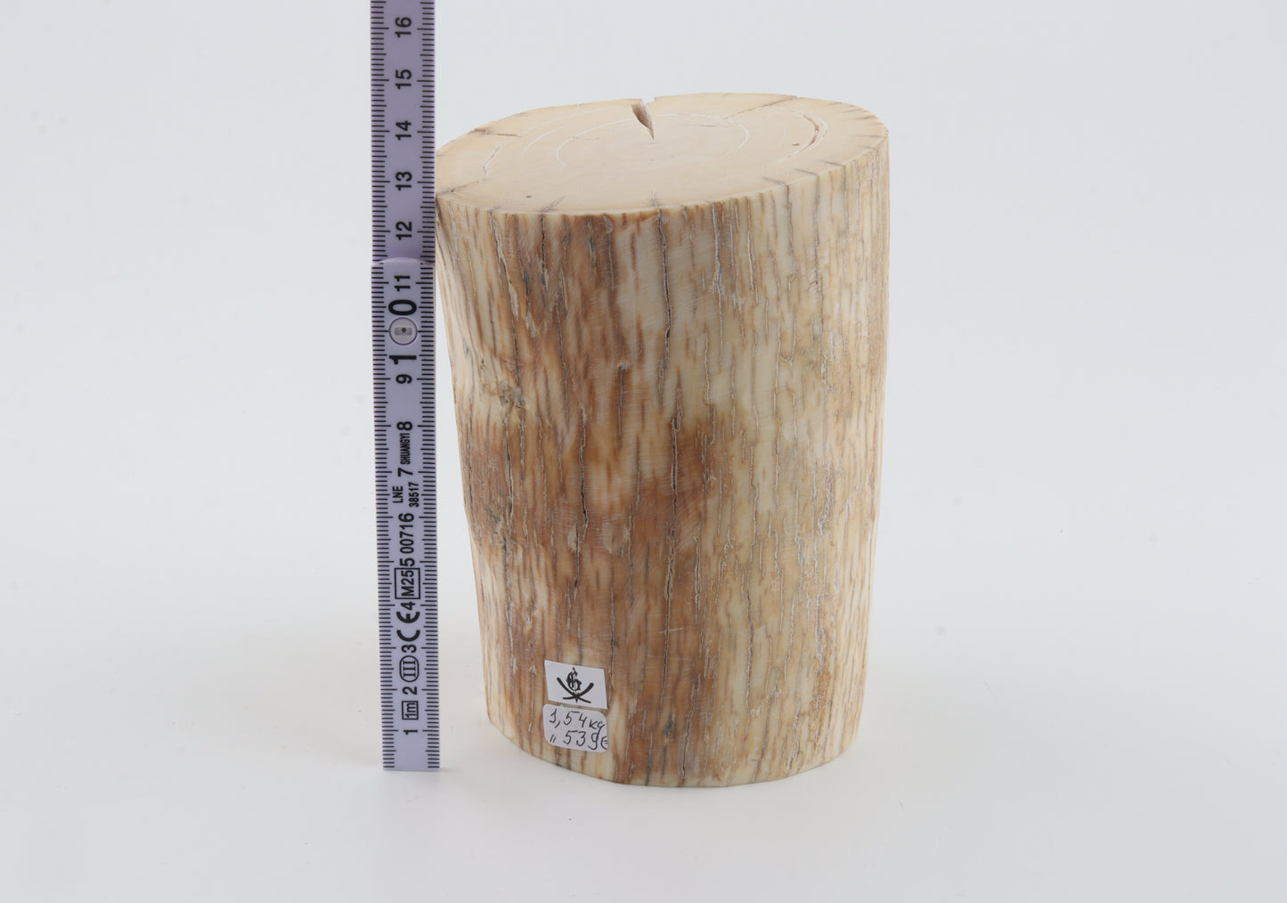 Round mammoth tusk piece