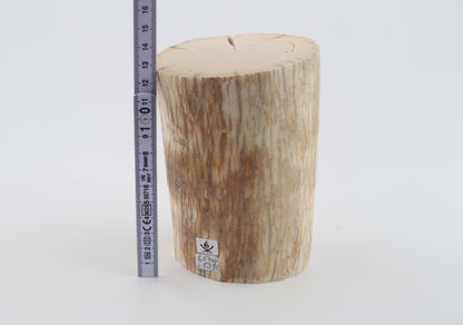 Round mammoth tusk piece