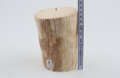 Round mammoth tusk piece