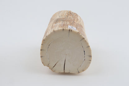 Round mammoth tusk piece