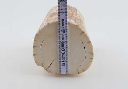 Round mammoth tusk piece