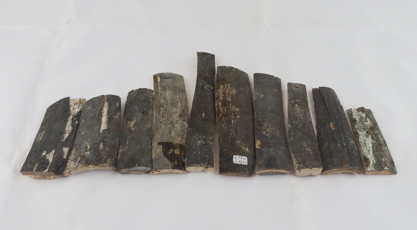 Untreated mammoth bark pieces