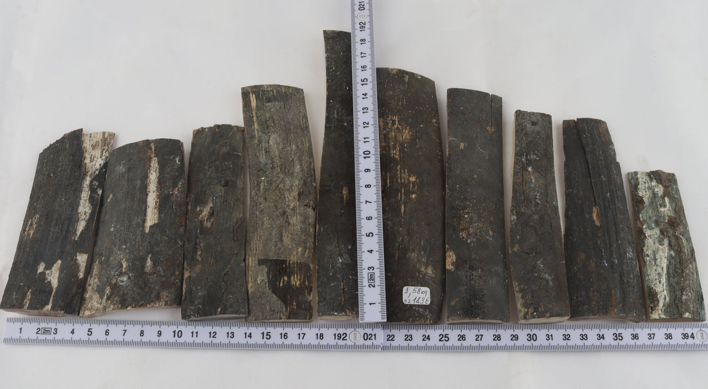 Untreated mammoth bark pieces