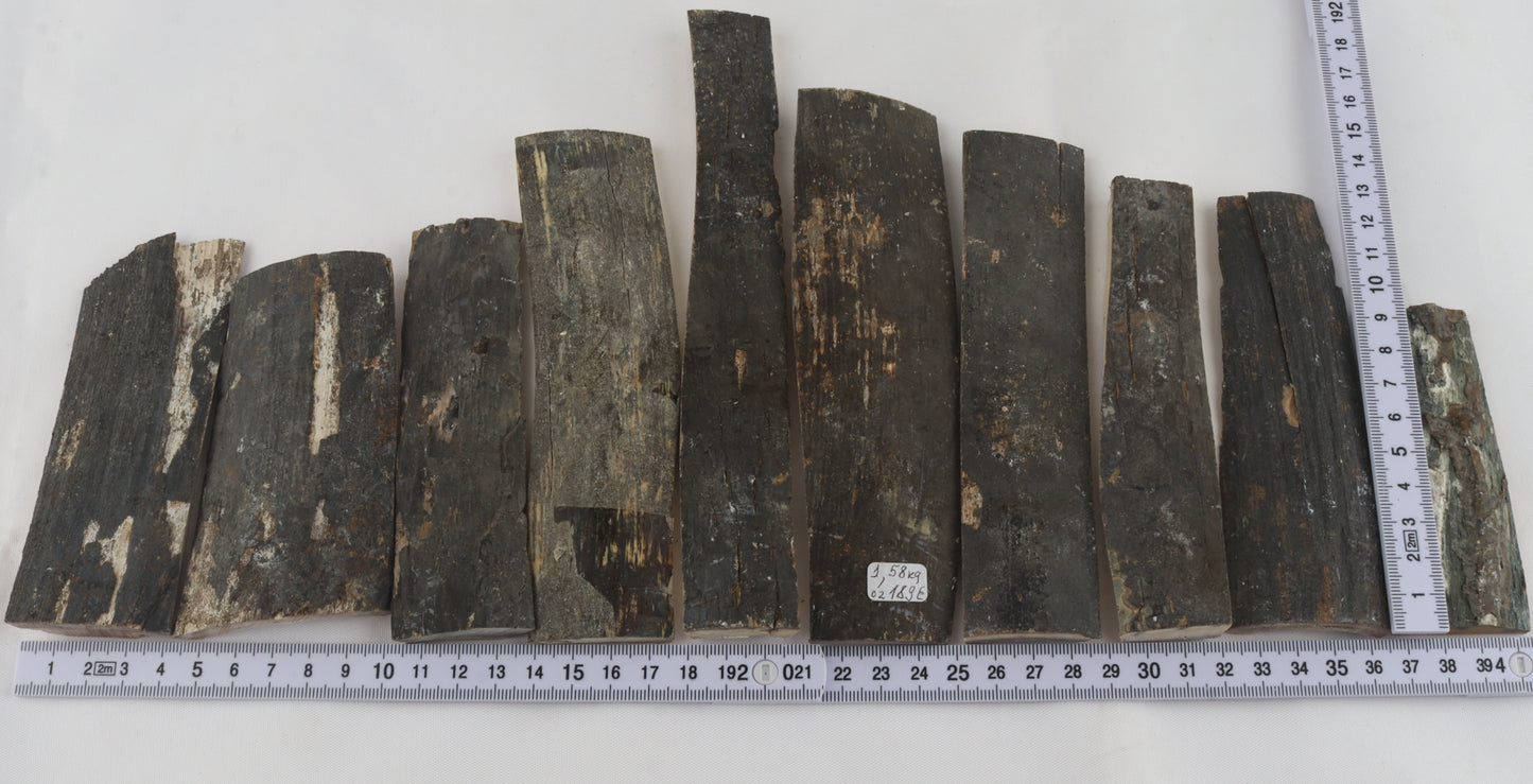 Untreated mammoth bark pieces