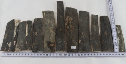 Untreated mammoth bark pieces