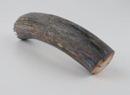 Natural mammoth tusk piece